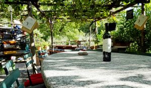 Lago di Vorgono Osteria Paradiso