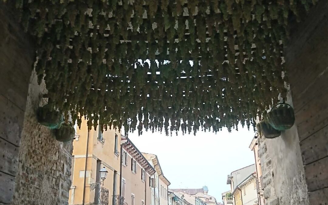 schweiz-italia_Seite_04_Bild_0004