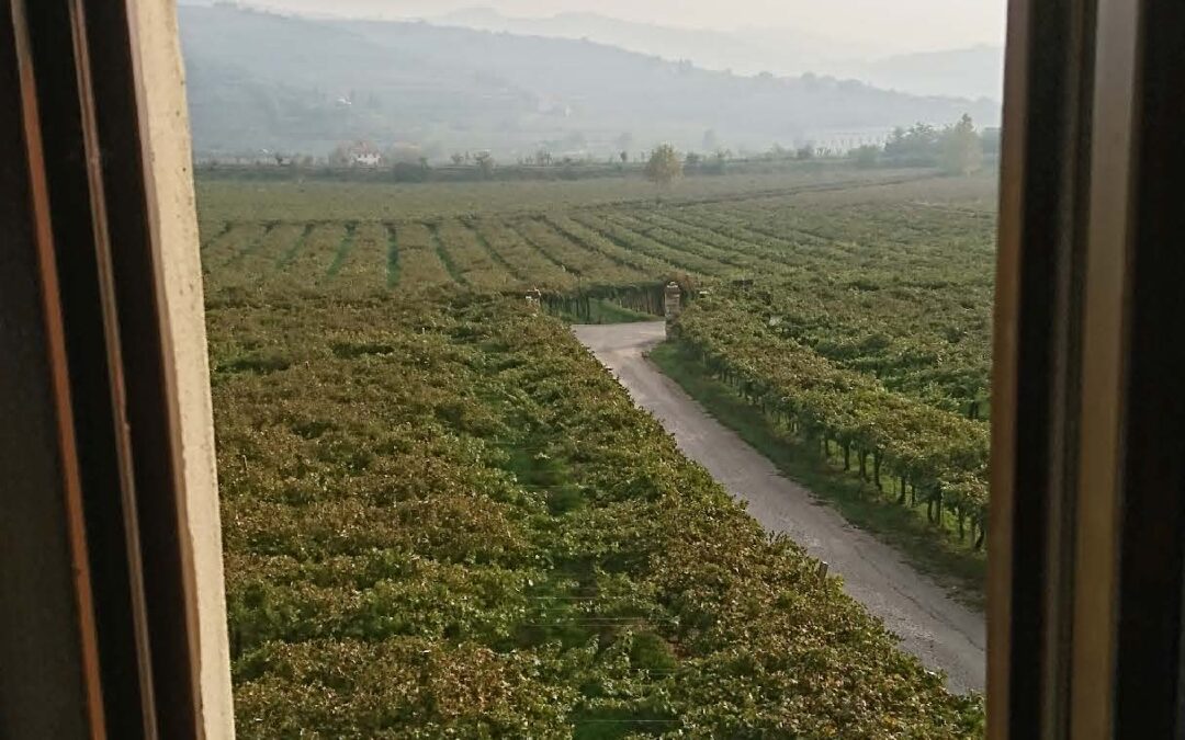 schweiz-italia_Seite_04_Bild_0005