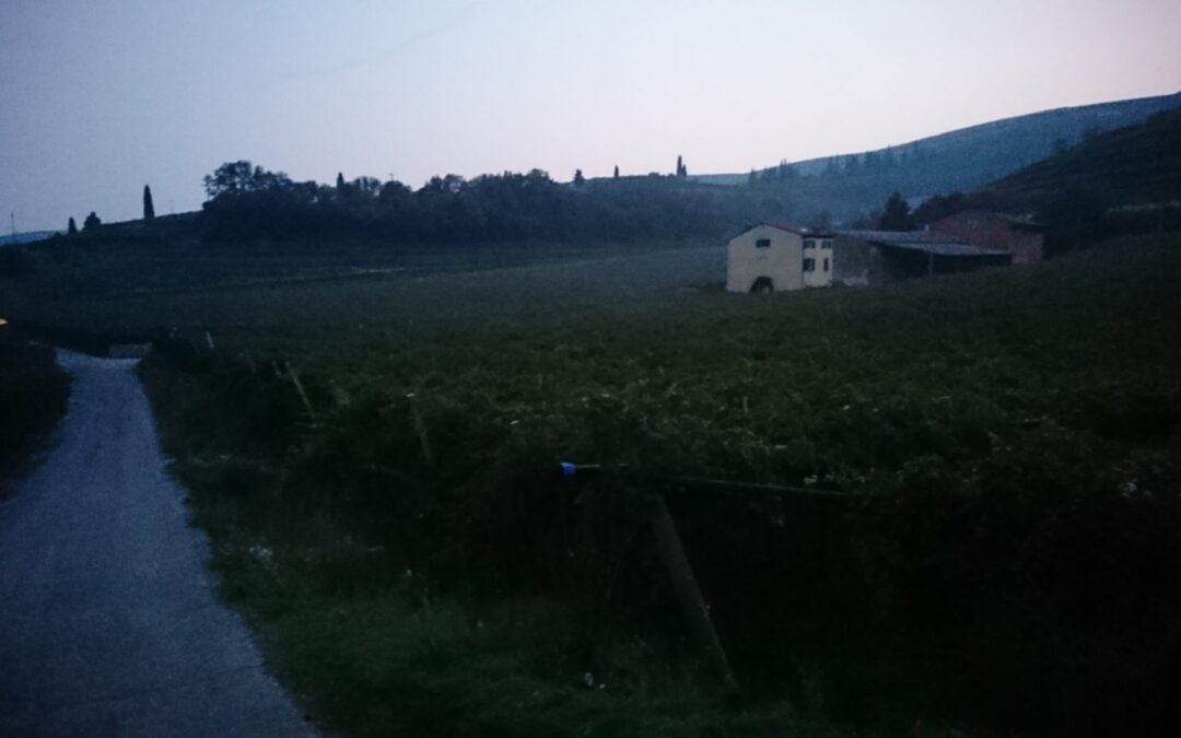 schweiz-italia_Seite_04_Bild_0008