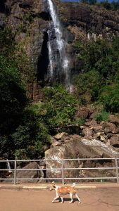 Wasserfall