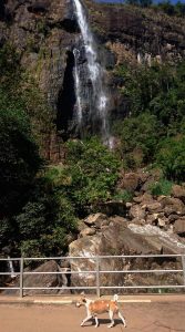 Wasserfall_bearbeitet-2