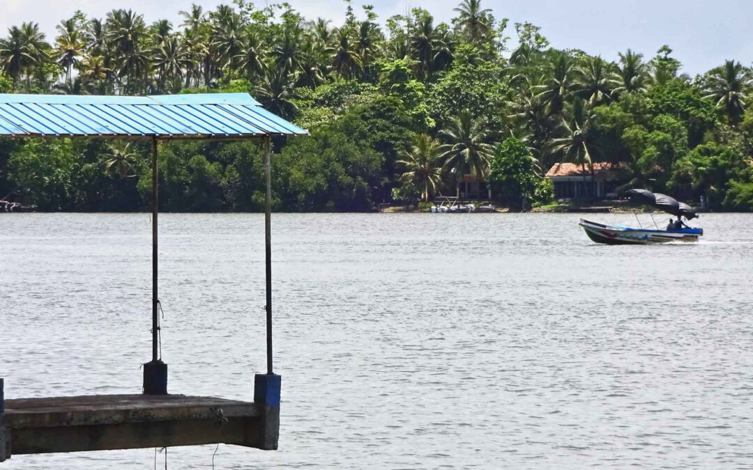 Bentota River 2