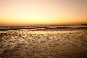 Camber-Sands