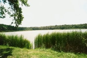 Mark-Brandenb.