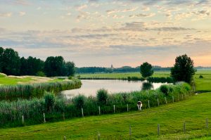 Edam1