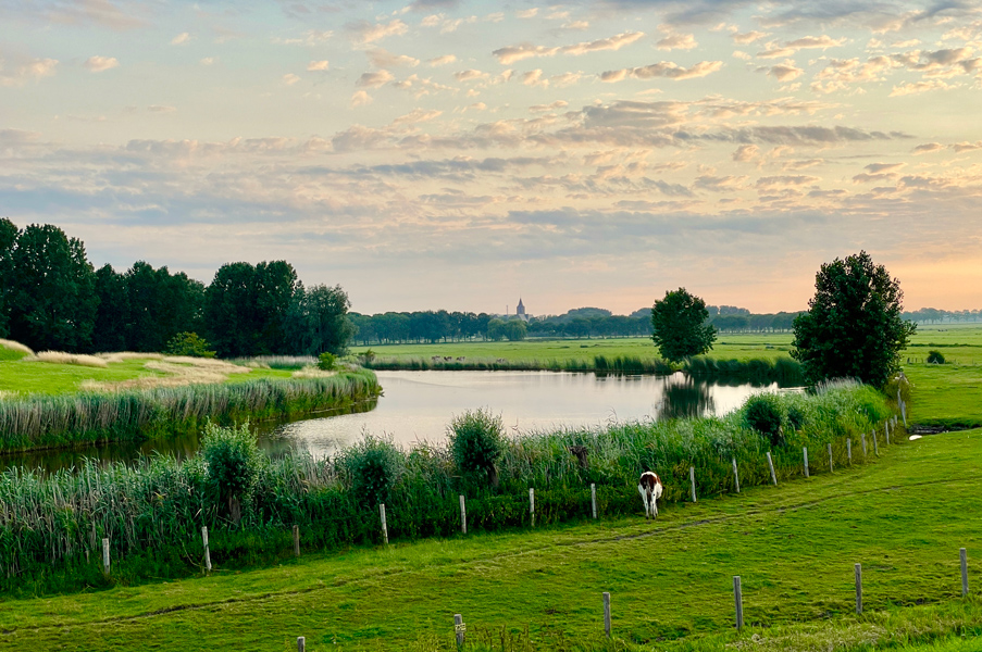 Edam1