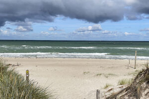 Ostsee-Darss-Juli-23