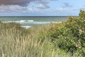 Ostsee-Juli-23Ahrenshoop-1