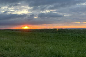 Saaler-Bodden-Juli-23
