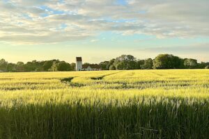 Fünen Dänemark 1