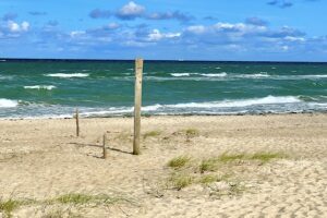 Weststrand Darss 1