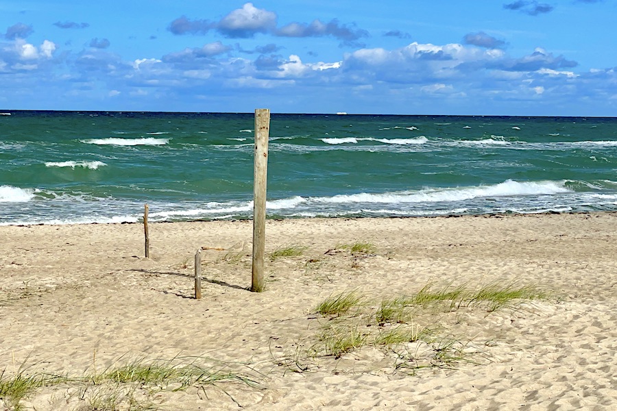 Weststrand Darss 1